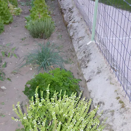 L'oustal Del Pastre * Alleuze