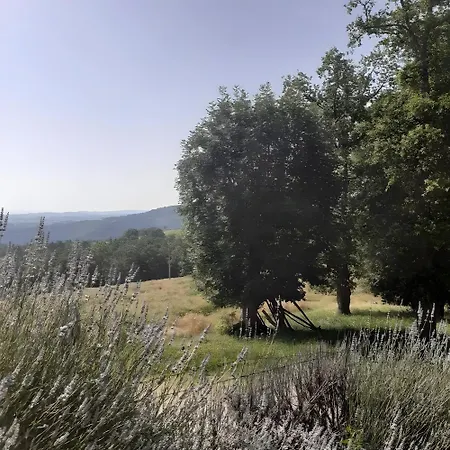 Holiday home L'oustal Del Pastre Alleuze