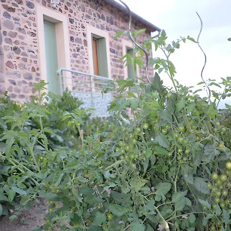 Holiday home L'oustal Del Pastre Alleuze