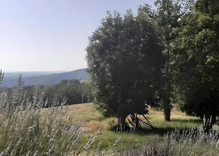 L'oustal Del Pastre Holiday home *