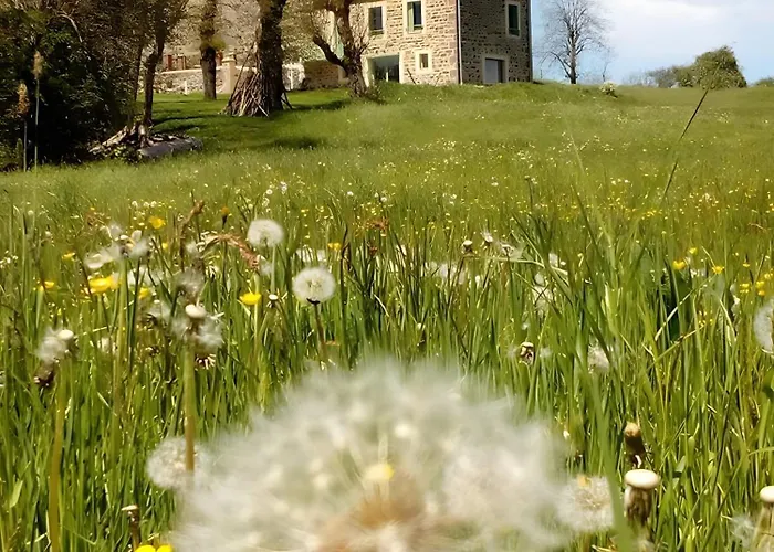 Holiday home L'oustal Del Pastre Alleuze