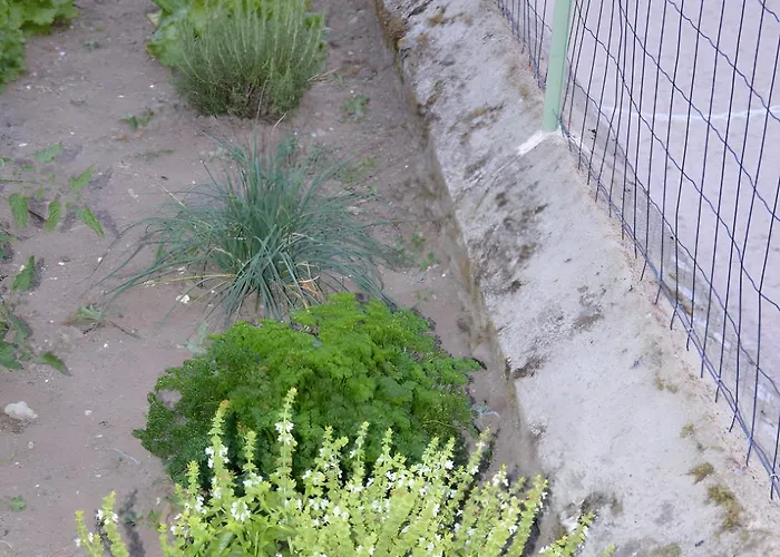 L'oustal Del Pastre * Alleuze