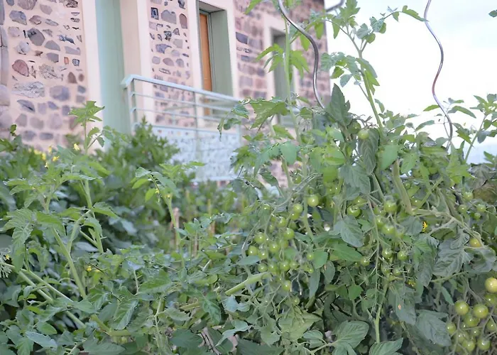 Holiday home L'oustal Del Pastre